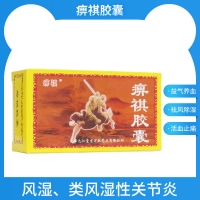 痹祺膠囊(痹祺)