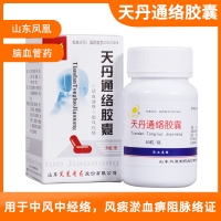 天丹通絡(luò)膠囊(鳳凰城)
