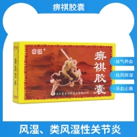 痹祺膠囊(痹祺)