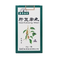 肝復康丸(本草綱目牌)