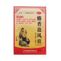 麝香追風(fēng)膏(百益)