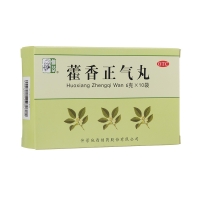 藿香正氣丸(仲景)