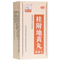 桂附地黃丸(濃縮丸)(藥王孫真人)