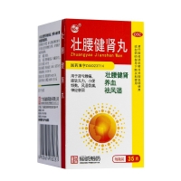 壯腰健腎丸(恒誠制藥)