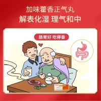 加味藿香正氣丸(馮了性)