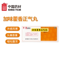 加味藿香正氣丸(馮了性)
