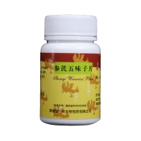 參芪五味子片(獨(dú)一味)