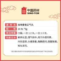 加味藿香正氣丸(馮了性)