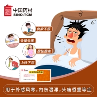 加味藿香正氣丸(馮了性)