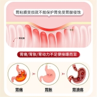 雙姜胃痛丸(版納)