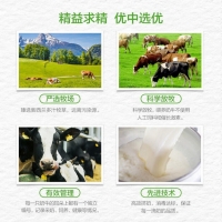 乳清蛋白固體飲料(香草味)(湯臣倍健)