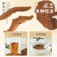 紫芝片(采芝林農(nóng)田道)