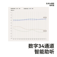 骨傳導助聽(tīng)器(左點(diǎn))(ZD-T0604YN)
