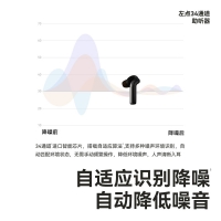骨傳導助聽(tīng)器(左點(diǎn))(ZD-T0604YN)