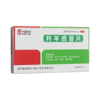 羚羊感冒片(中國藥材)
