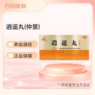 逍遙丸(仲景)