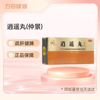 逍遙丸(仲景)
