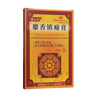 麝香鎮(zhèn)痛膏(普林松)