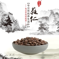 高端原生態(tài)植物藥材精選蕤仁250g