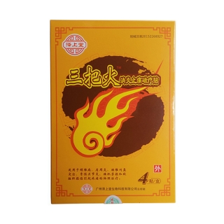 泽上堂 三把火 消炎止痛磁疗贴