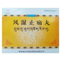 風(fēng)濕止痛丸(卓瑪?shù)?