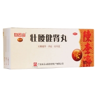 壯腰健腎丸(白云山)(大蜜丸)