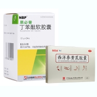 恩必普+西洋參黃芪膠囊