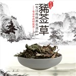 高端原生態(tài)植物藥材精選豨薟草500g