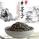 高端原生態(tài)植物藥材精選牛蒡子100g