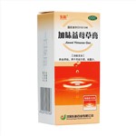 加味益母草膏(東新)