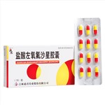 鹽酸左氧氟沙星膠囊(道君)