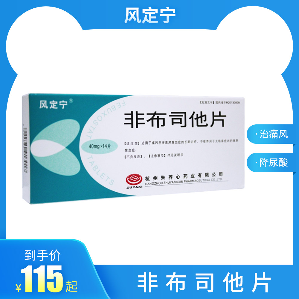 非布司他片(风定宁)