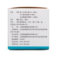 维C银翘片(镇南王)