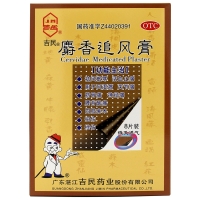 麝香追风膏(吉民)