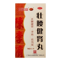 壮腰健肾丸(白云山)