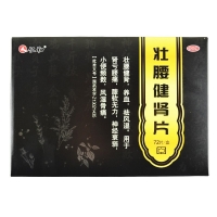壮腰健肾片(仁和)