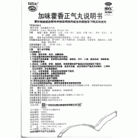 加味藿香正气丸(白云山)