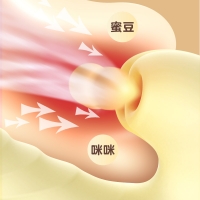 Cathy凯丝(黄色)(Meise)（女用双头仿口爱吮吸恒温震动棒自慰器具成人性用品情趣用品）