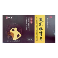 敖东壮肾丸(一正)