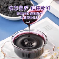 黑枸杞原浆(福东海)