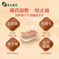 消痛贴膏(奇正)(OTC)