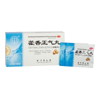 藿香正气丸(浓缩丸)(北京同仁堂)