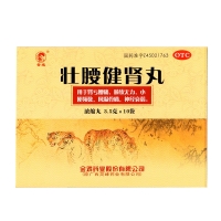 壮腰健肾丸(金鸡)