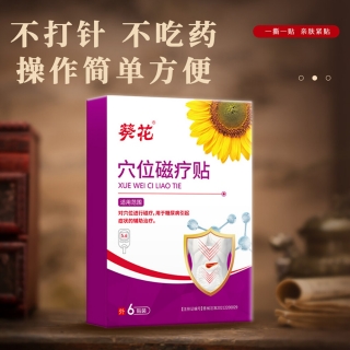 穴位磁疗贴(葵花)