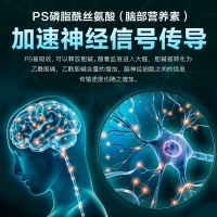 天灿磷脂酰丝氨酸软胶囊(旭福)