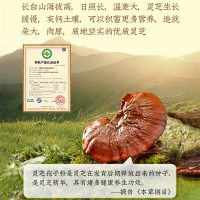 破壁灵芝孢子粉(内廷上用)