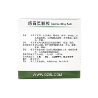 感冒灵颗粒(百灵鸟)