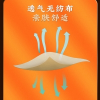 草本老黑膏(内廷上用)