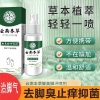 骞氏艾叶抑菌液(云南本草脚臭脚汗喷剂)(圣艾元)