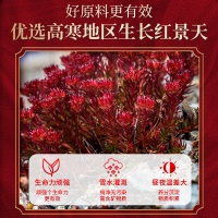 北京同仁堂麦金利牌红景天人参胶囊